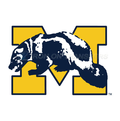 Michigan Wolverines Logo T-shirts Iron On Transfers N5070